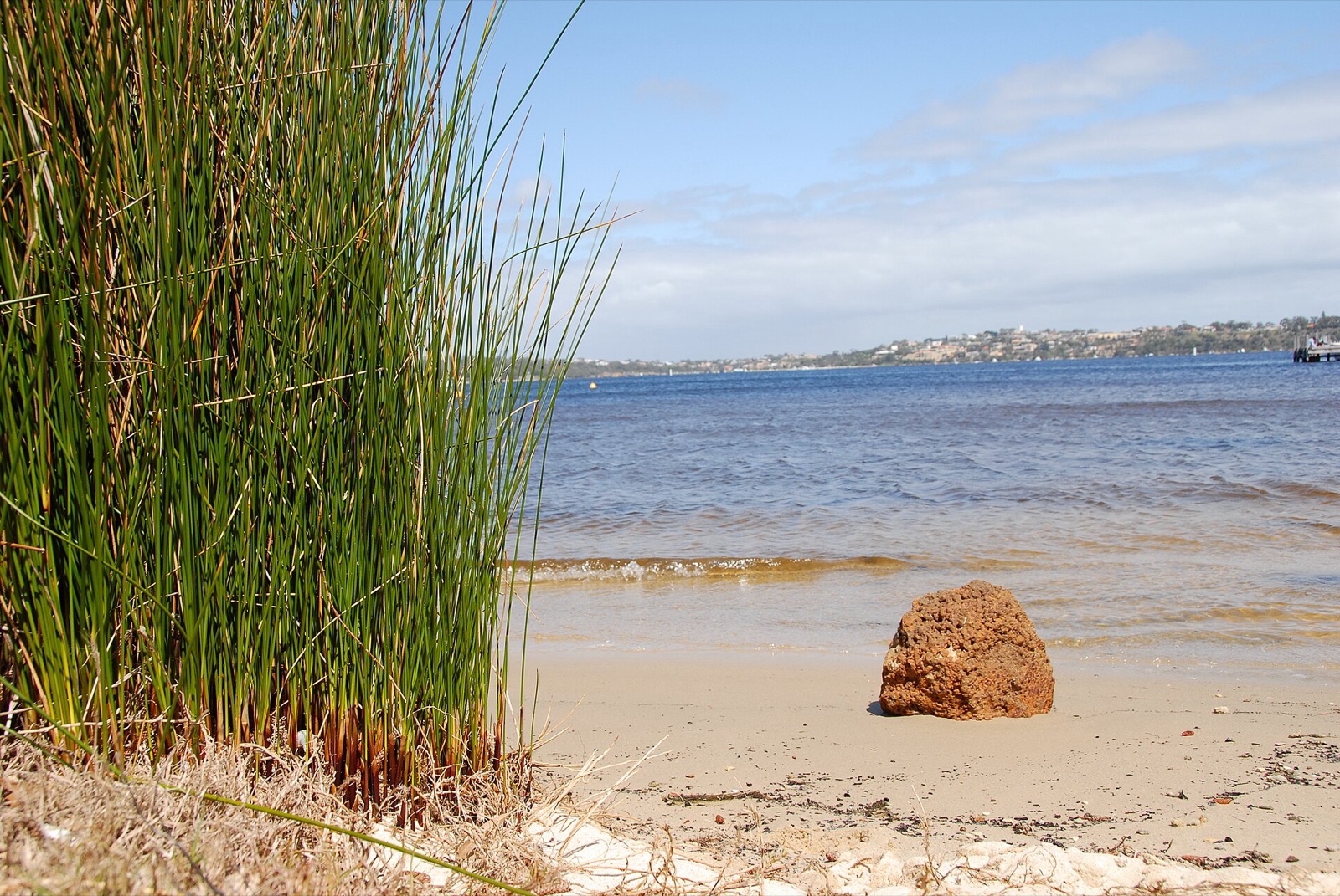 The Swan River at Claremont